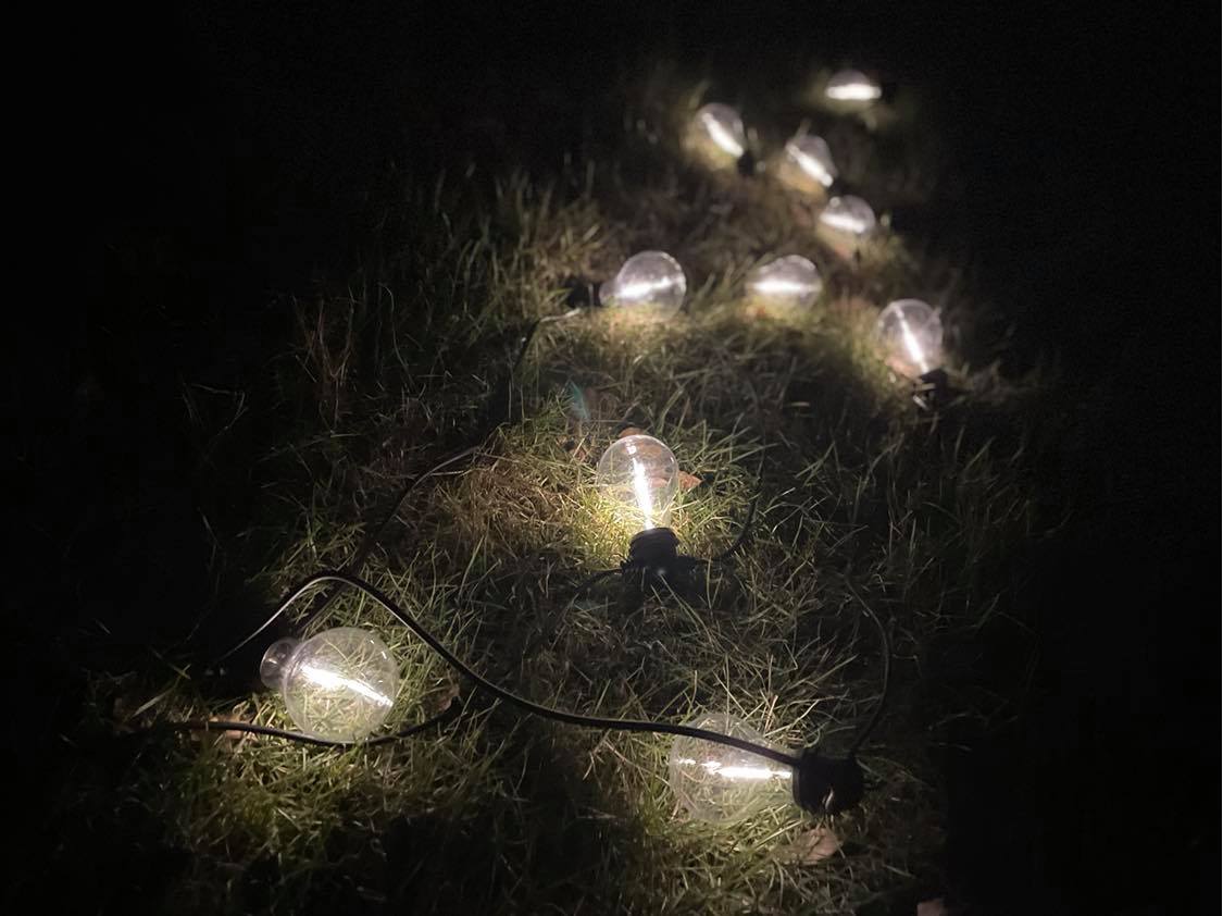 Sofia LED lyskæde 10 klare pærer 5m